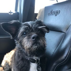 Meet your Posher, Felipe